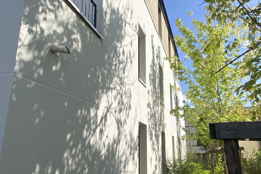 Image (19)